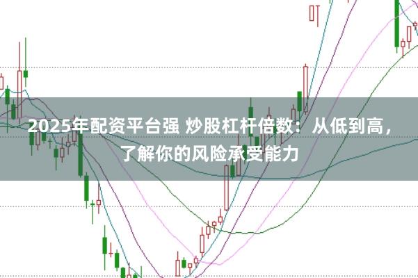 2025年配资平台强 炒股杠杆倍数：从低到高，了解你的风险承受能力