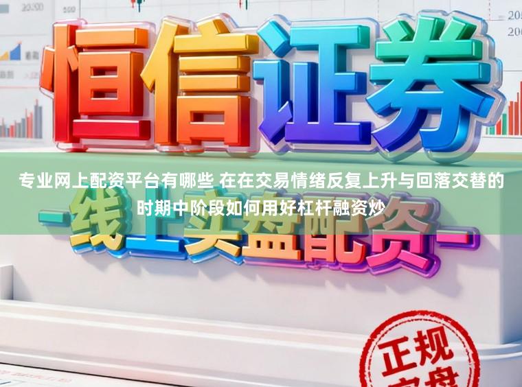 专业网上配资平台有哪些 在在交易情绪反复上升与回落交替的时期中阶段如何用好杠杆融资炒