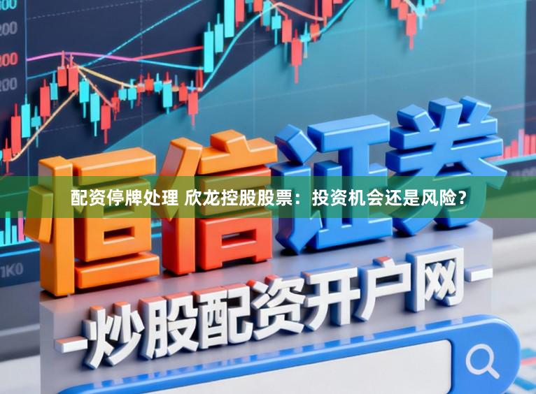 配资停牌处理 欣龙控股股票：投资机会还是风险？